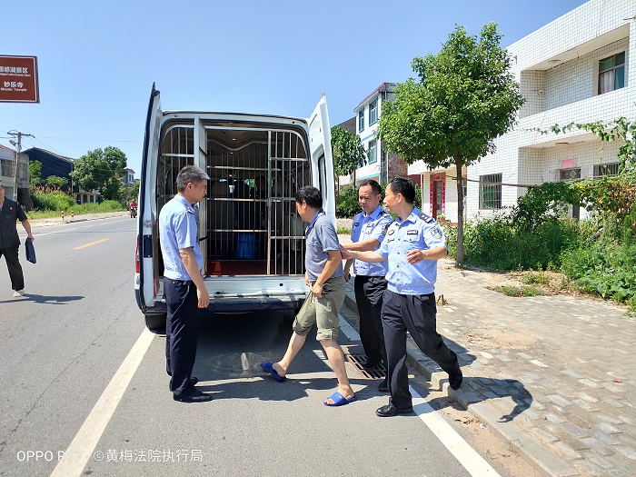 黄梅.jpg