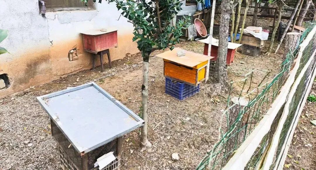 微信图片_20240507095027.jpg