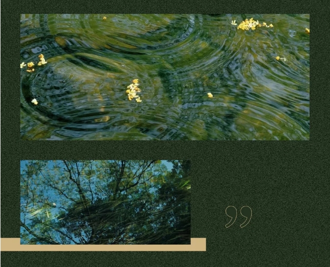 10.png