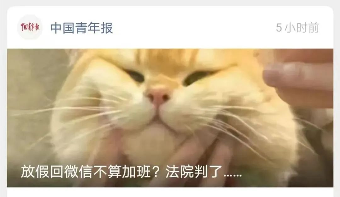 微信图片_20250507145237.jpg