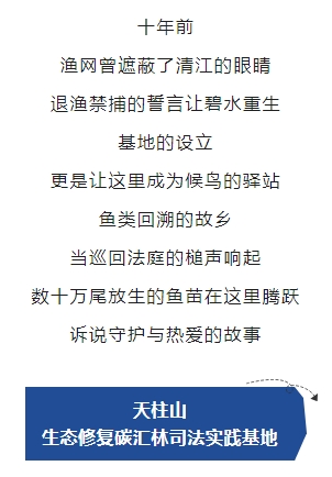 15.png